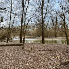 23-02-18 15-01-17 4263